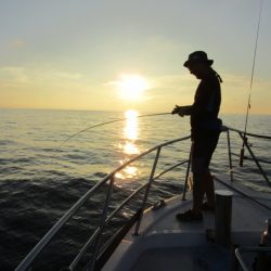 ジギング船 BLUEWATER 釣果