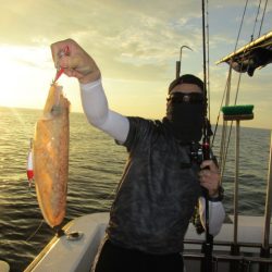 ジギング船 BLUEWATER 釣果