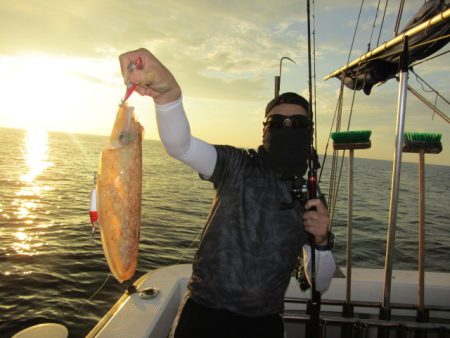 ジギング船 BLUEWATER 釣果