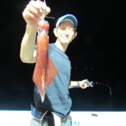 ジギング船 BLUEWATER 釣果