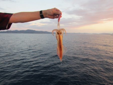 ジギング船 BLUEWATER 釣果