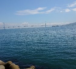 おつまみを仕入れに