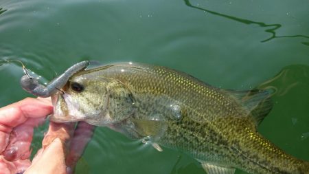 表層ではかなり渋くなってきました