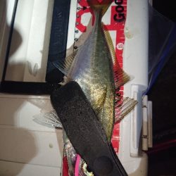 どんどん渋くなる