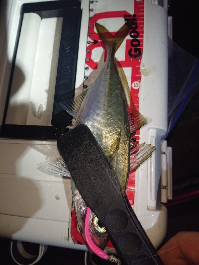 どんどん渋くなる