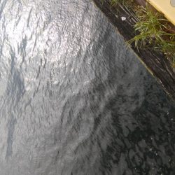 ショアジギングで青物狙い