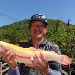 フィッシングレイクたかみや 釣果