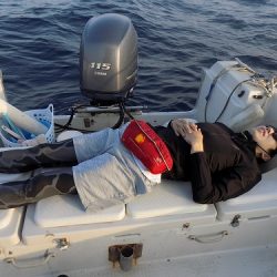 フィッシングボート空風(そらかぜ) 釣果