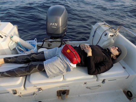 フィッシングボート空風(そらかぜ) 釣果