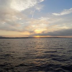 フィッシングボート空風(そらかぜ) 釣果