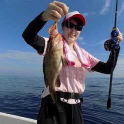 フィッシングボート空風(そらかぜ) 釣果