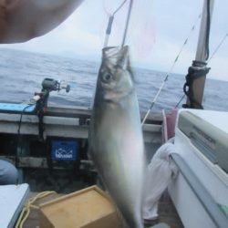 松福丸 釣果