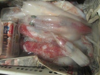 松福丸 釣果