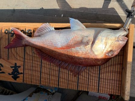 幸吉丸 釣果