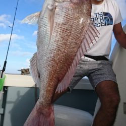 遊漁船　家入 釣果