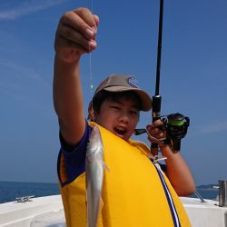 遊漁船 家入 釣果