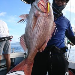 遊漁船　家入 釣果