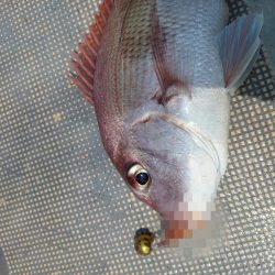 FISHING RISKY 釣果