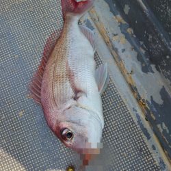 FISHING RISKY 釣果