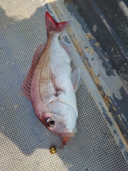 FISHING RISKY 釣果