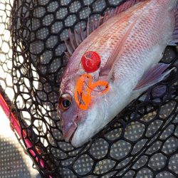 FISHING RISKY 釣果