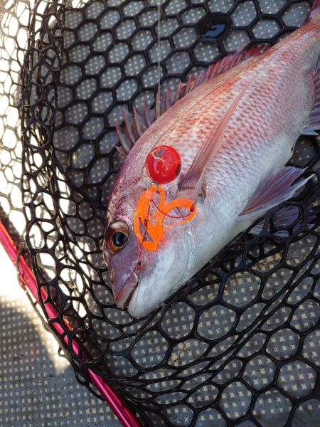 FISHING RISKY 釣果