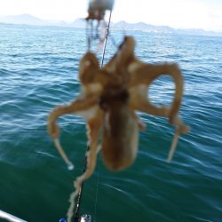 FISHING RISKY 釣果