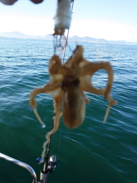 FISHING RISKY 釣果