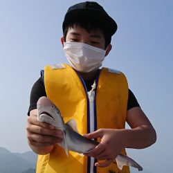 遊漁船 家入 釣果