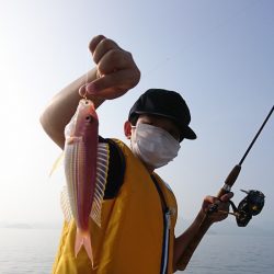 遊漁船 家入 釣果