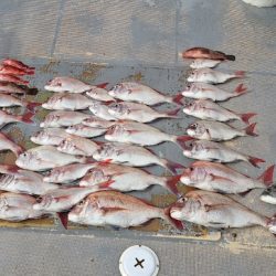 FISHING RISKY 釣果