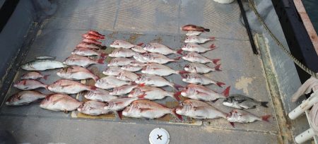 FISHING RISKY 釣果