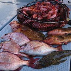 遊漁船 家入 釣果