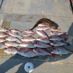 FISHING RISKY 釣果