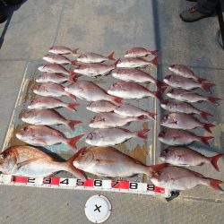 FISHING RISKY 釣果