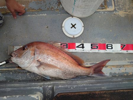 FISHING RISKY 釣果