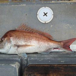 FISHING RISKY 釣果