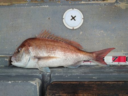 FISHING RISKY 釣果