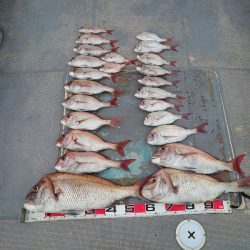 FISHING RISKY 釣果