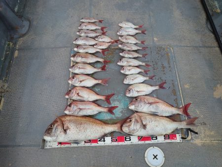 FISHING RISKY 釣果