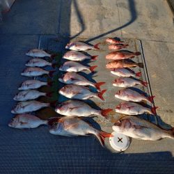 FISHING RISKY 釣果