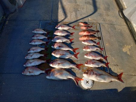 FISHING RISKY 釣果