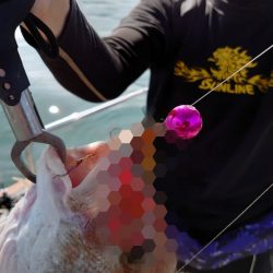 FISHING RISKY 釣果