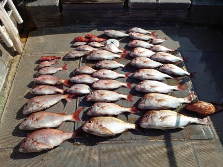 FISHING RISKY 釣果