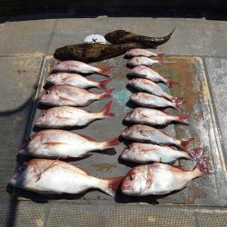 FISHING RISKY 釣果