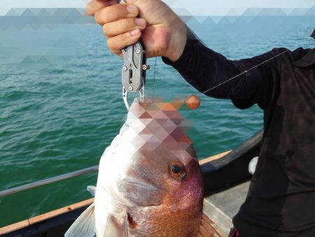 FISHING RISKY 釣果