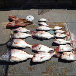 FISHING RISKY 釣果