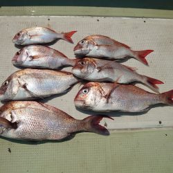 FISHING RISKY 釣果