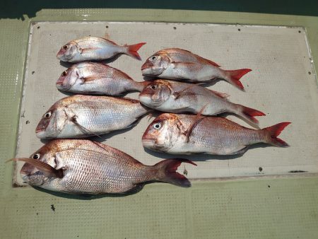 FISHING RISKY 釣果