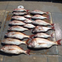 FISHING RISKY 釣果